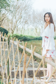 第22条婚规电视剧